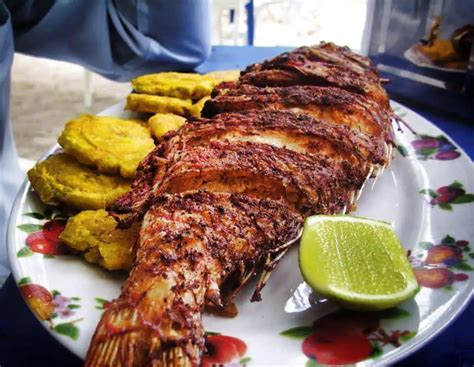 Best Fish To Eat In The Dominican Republic (Where to Find It) - Guide To DR