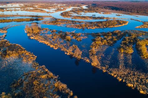 Estonia, Alam-Pedja Nature Reserve - Traveling the World