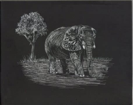 Scratch Art Animals