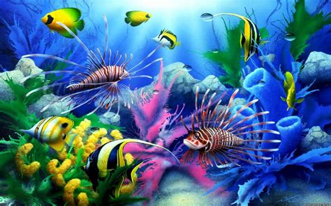 Sea Seabed Colorful Tropical Fish, Coral Wallpaper Hd For Desktop ...