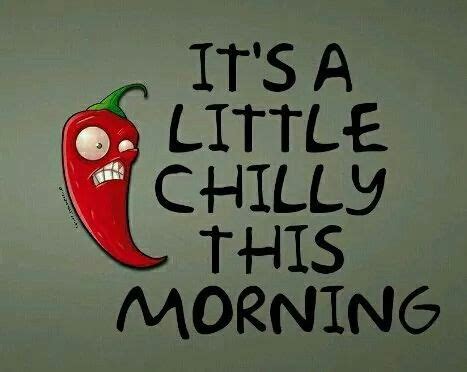 CHILLY MORNING | Good morning funny pictures, Morning quotes funny ...