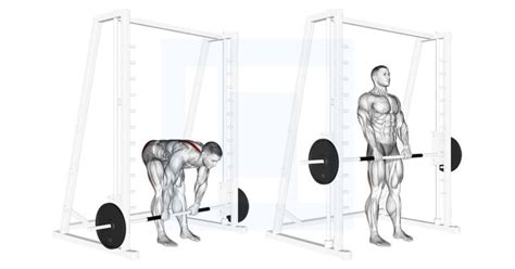 Smith Sumo Deadlift - Guide, Benefits, and Form