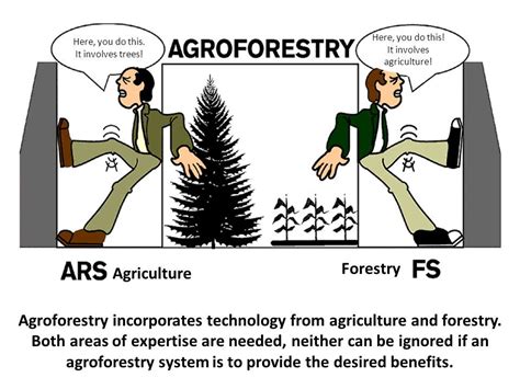 Agroforestry – Civilsdaily | Soil improvement, Sustainable management, Study related