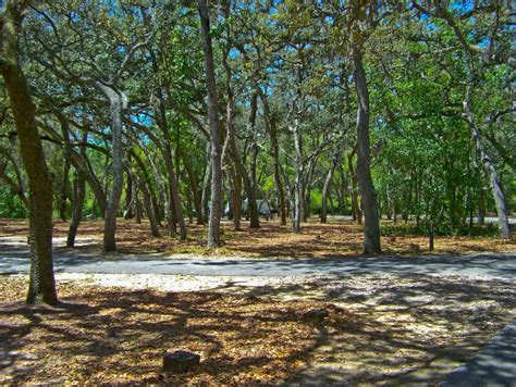 15 developed campgrounds to love in Ocala National Forest