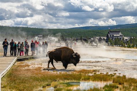 Ways to Celebrate Yellowstone National Park's 150th Anniversary ...