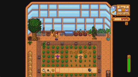 Stardew valley greenhouse layout with trees - moliintelligence