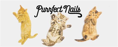 Cat Nail Files : Cute cat shaped nail files.