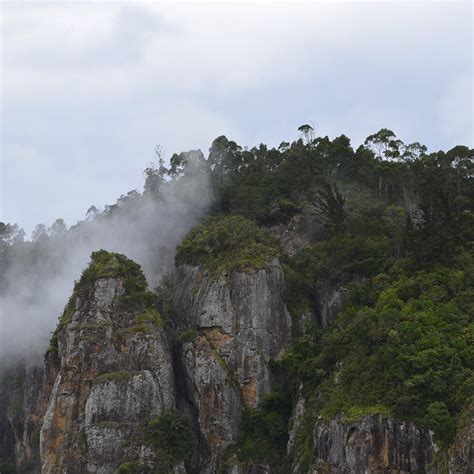 Kodaikanal, Tamil Nadu | LBB