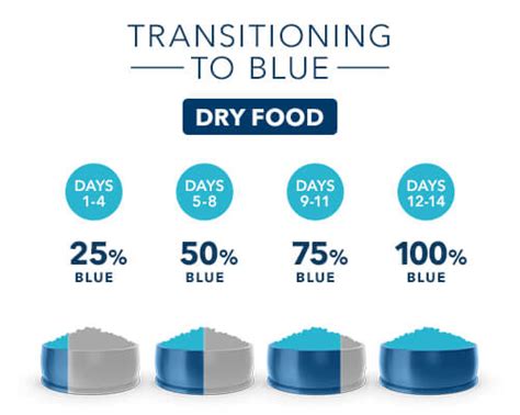 How to Transition Dog Food.