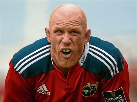 Paul O'Connell takes on Munster Academy role - Limerick Leader