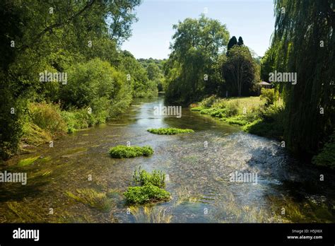 Chalk Stream England Stock Photos & Chalk Stream England Stock Images ...