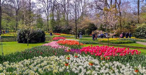 Tulip Festival Amsterdam 2024 Tickets - Esther Karalee