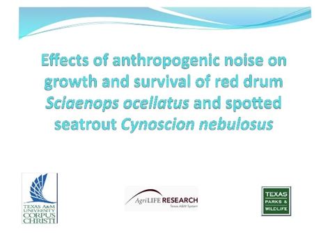 Effect of anthropogenic noise