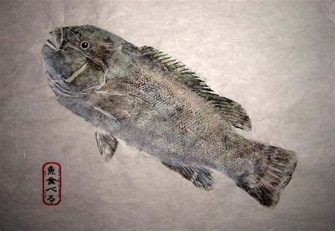 Tautog Photos and Tautog Gyotaku Fish Art by Chesapeake Bay Fish Prints