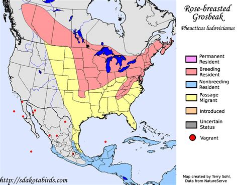 Rose-breasted Grosbeak - Species Range Map