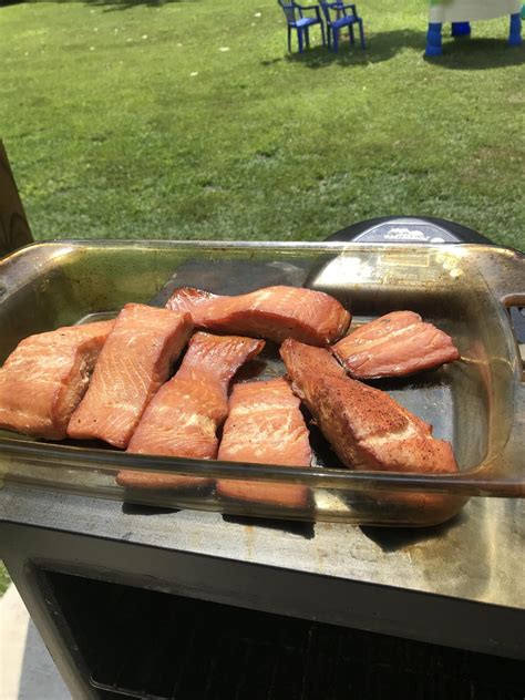 [Homemade] Honey smoked salmon : r/food