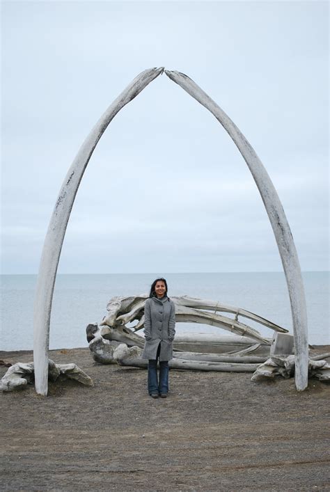 Point Barrow, Alaska | The northern-most point, the next sto… | Flickr