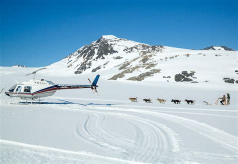 Anchorage Dog Sledding and Glacier Helicopter Tour | Alaska Shore Excursions