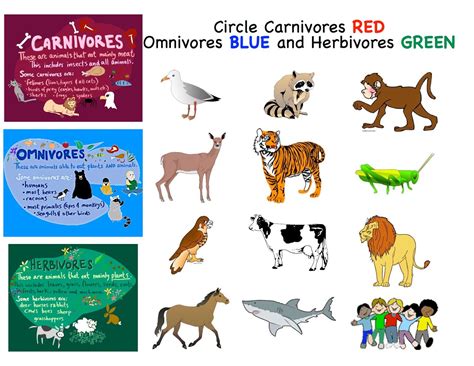 Herbivore And Carnivore Animals List