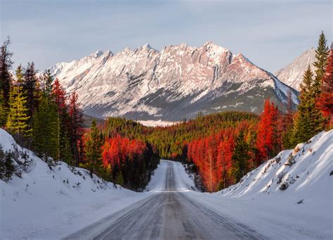 30+ Awesome Things To Do in Jasper - The Banff Blog