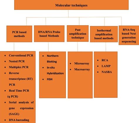 An overview of molecular techniques. | Download Scientific Diagram