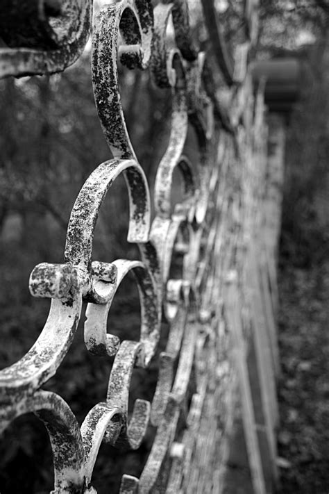 Iron Gate Free Photo Download | FreeImages