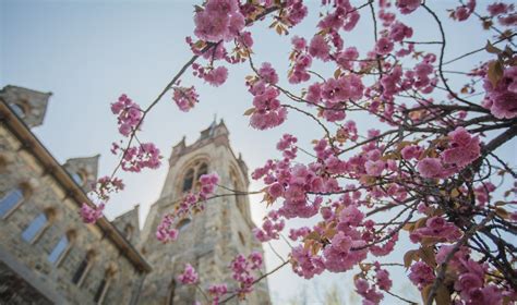 Lehigh University Alumni - Home