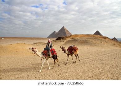 Camel Caravan Pyramids Giza Egypt Stock Photo (Edit Now) 1438141058