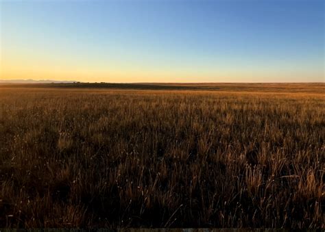 Northern Cheyenne Forest Restoration Project - The Climate Trust