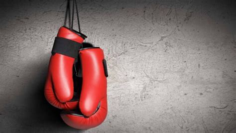 Different Types of Boxing Gloves You Should Know