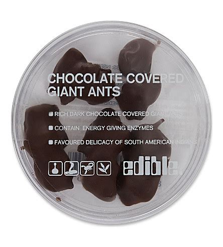 EDIBLE - Dark chocolate covered ants 8g | Selfridges.com