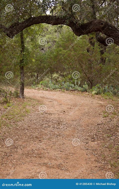 Canyon of the Eagles Hiking Trail Stock Photo - Image of cedar, trail: 41285430