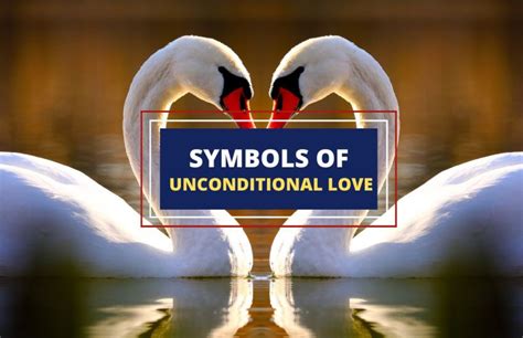 25 Profound Symbols of Unconditional Love