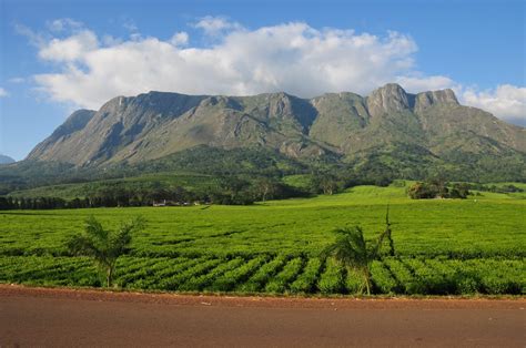 With a backpack through Africa: Mulanje Mountains / Sapitwa Peak (3002m)