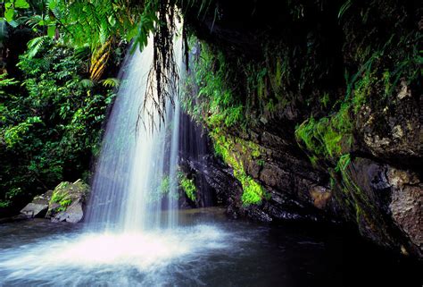 El Yunque Waterfall Photograph by Thomas R Fletcher - Fine Art America