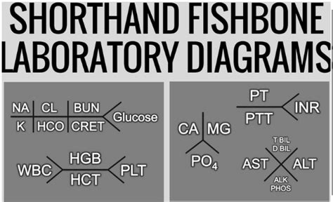 So here is an example of Shorthand Fishbone Diagrams found on Pinterest ...