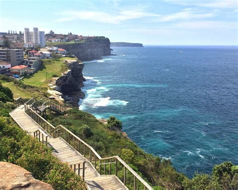 Guide to the Federation Cliff Walk | Sydney Uncovered