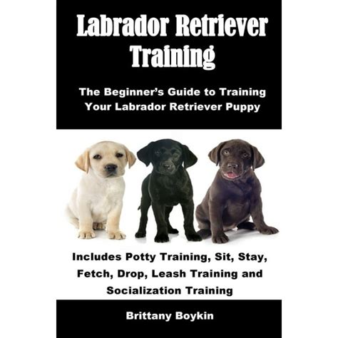 Labrador Retriever Training: The Beginner's Guide to Training Your ...