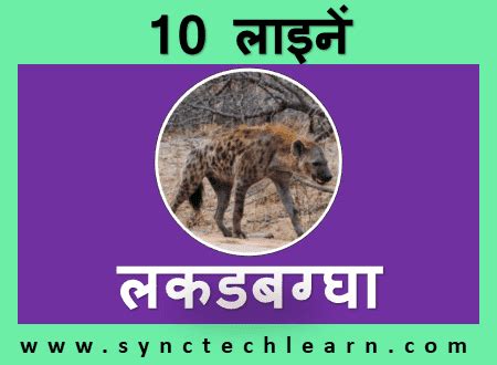 10 lines on Hyena in Hindi - लकडबग्घा के बारे में जानकारी