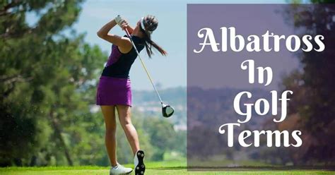 What Is An Albatross In Golf Terms? - Golfs Hub