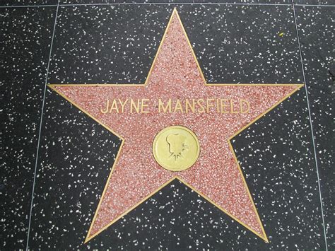 File:The Jayne Mansfield Hollywood Walk Of Fame Star.jpg - Wikipedia