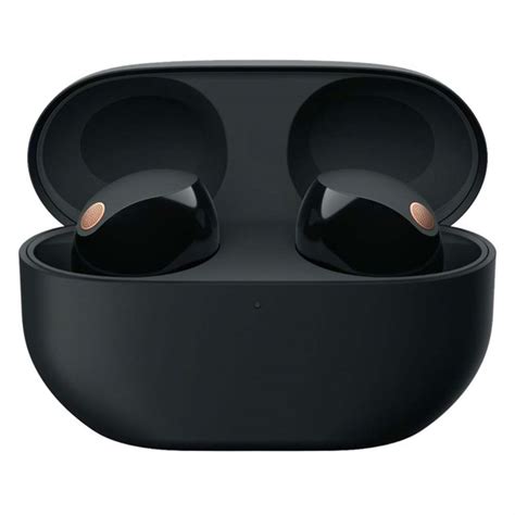 Sony True Wireless Earphones w / mic(black)