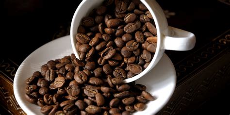 Who Makes The Best Coffee Beans For Home Brewing? (DEATHMATCH) | HuffPost
