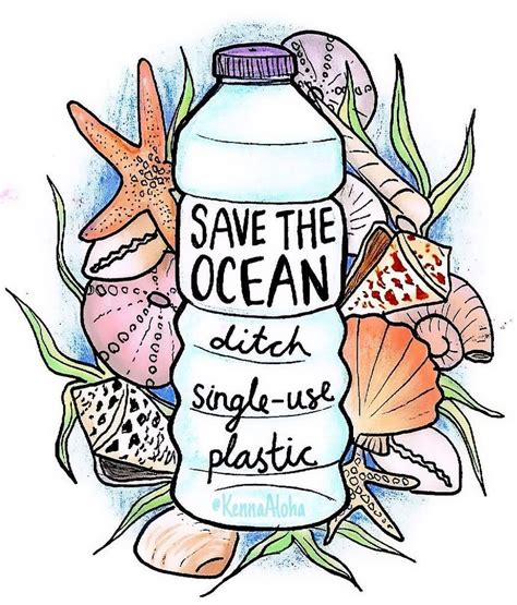 Save the Ocean: Refusing Single-Use Plastic to Protect Marine Life