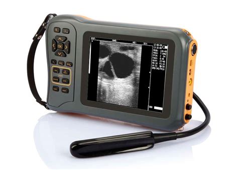 Veterinary Portable Ultrasound Scanner Pet Handheld Black And White ...