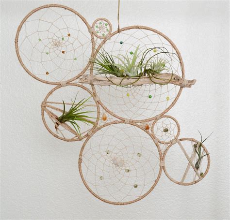 15 Best Air Plant Wall Art