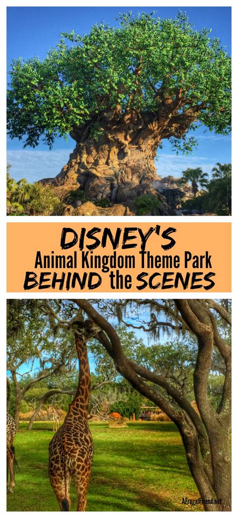 Disney's Animal Kingdom Theme Park - From Behind the Scenes - Finding Debra