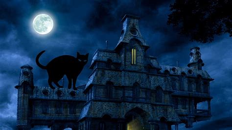 Halloween Black Cat 34676 HD wallpaper | Pxfuel