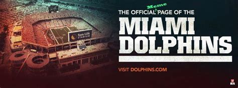 Miami Dolphins Meme | Dolphin memes, Miami dolphins, Dolphins