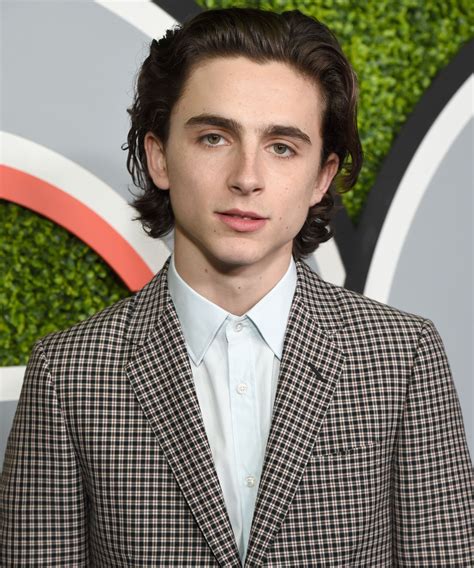 This May Be Timothee Chalamet's Best Hair Look Yet Straight Hairstyles ...